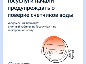 Госуслуги начали предупреждать о поверке счетчиков воды