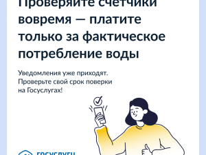 Госуслуги начали предупреждать о поверке счетчиков воды